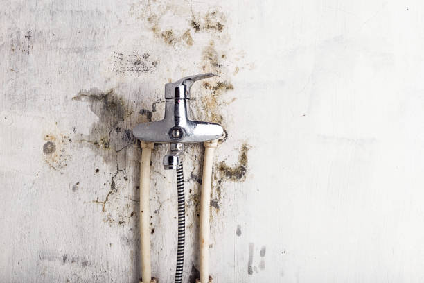 Best Mold Testing  in Grayson, CA
