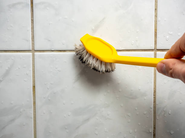Best Home Mold Removal  in Grayson, CA