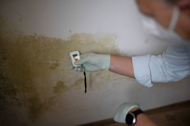 Best Mold Testing  in Grayson, CA