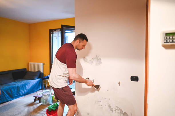 Grayson, CA Mold Removal Company